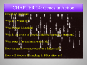 CHAPTER 14: Genes in Action