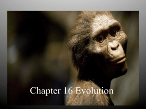 Chapter 16 Evolution