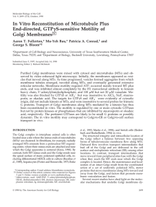 In Vitro Reconstitution of Microtubule Plus End-directed, GTP Golgi Membranes S-sensitive Motility of