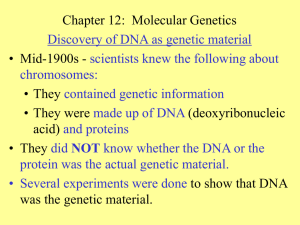 Chapter 12:  Molecular Genetics • Mid-1900s - • They