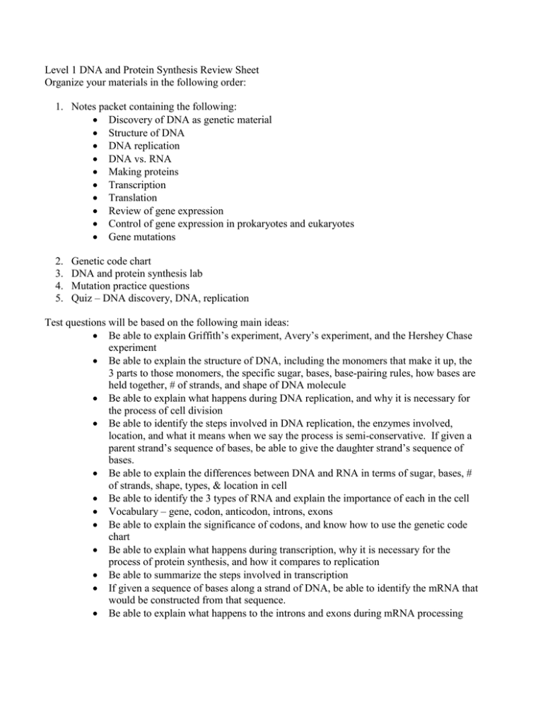 Level 1 DNA and Protein Synthesis Review Sheet