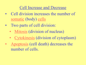 Cell Increase and Decrease • Cell division increases the number of (body)