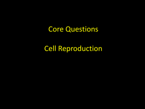 Core Questions Cell Reproduction
