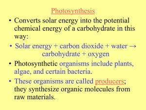 Photosynthesis • Converts solar energy into the potential way: