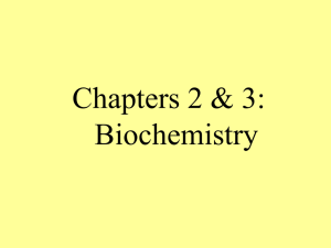 Chapters 2 &amp; 3: Biochemistry