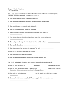 Chapter 8 Practice Questions Cell Reproduction
