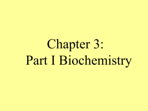 Chapter 3: Part I Biochemistry