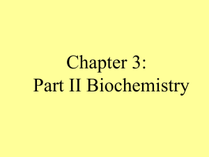 Chapter 3: Part II Biochemistry