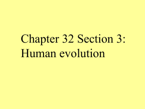 Chapter 32 Section 3: Human evolution
