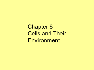 – Chapter 8 Cells and Their Environment