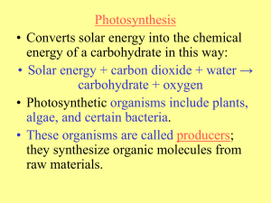 Photosynthesis • Converts solar energy into the chemical • Photosynthetic