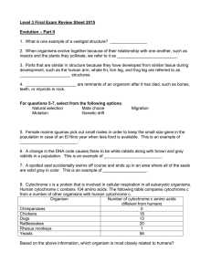 Level 3 Final Exam Review Sheet 2015 – Part II Evolution