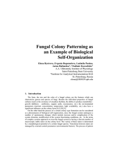 Fungal Colony Patterning as an Example of Biological Self-Organization