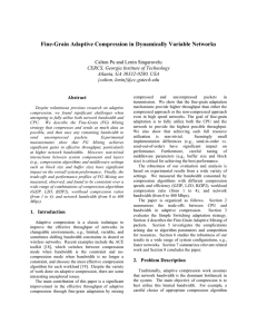 Fine-Grain Adaptive Compression in Dynamically Variable Networks