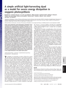 A simple artificial light-harvesting dyad oxygenic photosynthesis