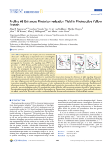 Proline 68 Enhances Photoisomerization Yield in Photoactive Yellow Protein