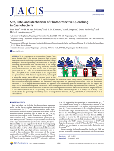 Site, Rate, and Mechanism of Photoprotective Quenching in Cyanobacteria