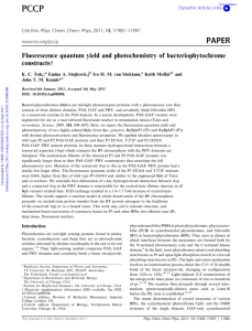 Fluorescence quantum yield and photochemistry of bacteriophytochrome constructsw Phys. Chem. Chem. Phys
