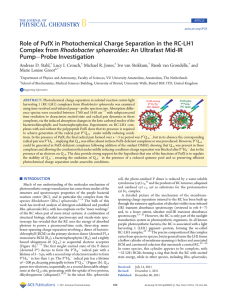 Role of PufX in Photochemical Charge Separation in the RC-LH1