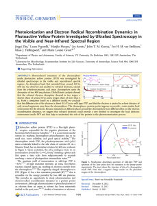 Photoionization and Electron Radical Recombination Dynamics in