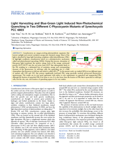 Light Harvesting and Blue-Green Light Induced Non-Photochemical