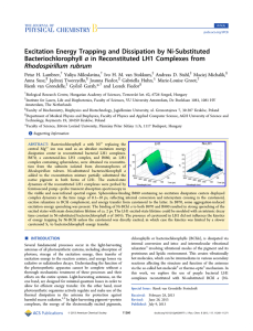 Excitation Energy Trapping and Dissipation by Ni-Substituted