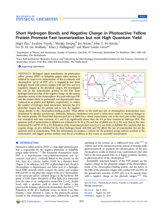 Short Hydrogen Bonds and Negative Charge in Photoactive Yellow