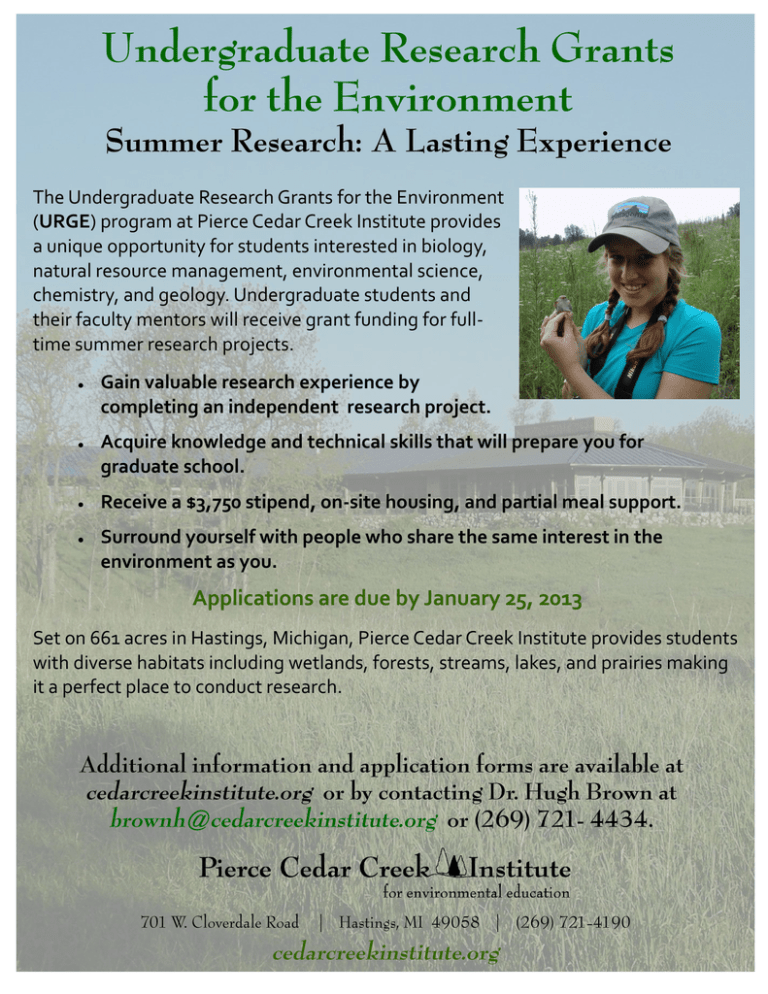 summer undergraduate research grants