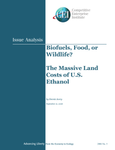 Biofuels, Food, or Wildlife? The Massive Land Costs of U.S.