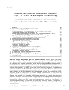 Molecular Analysis of the Sodium/Iodide Symporter: