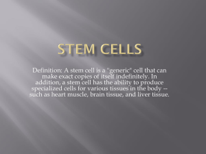 Definition: A stem cell is a &#34;generic&#34; cell that can
