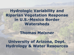 Hydrologic Variability and Riparian Vegetation Response in U.S.-Mexico Border Watersheds