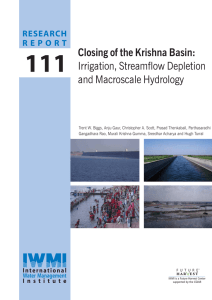111 Closing of the Krishna Basin: Irrigation, Streamflow Depletion and Macroscale Hydrology