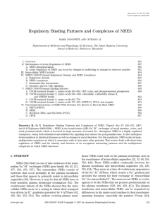 Regulatory Binding Partners and Complexes of NHE3