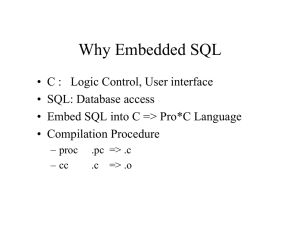 Why Embedded SQL