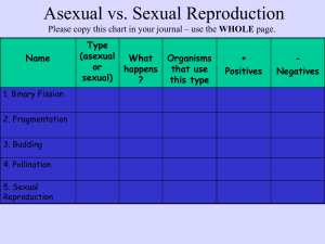 Asexual vs. Sexual Reproduction WHOLE Type (asexual