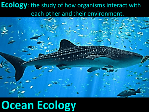 Ocean Ecology Ecology : the study of how organisms interact with