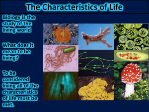 The Characteristics of Life