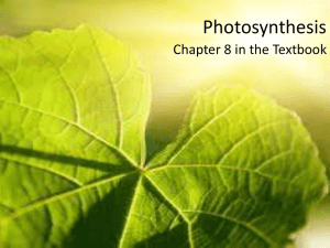 Photosynthesis Chapter 8 in the Textbook