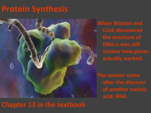 Protein Synthesis