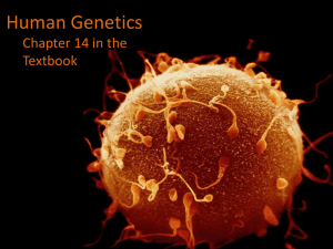 Human Genetics Chapter 14 in the Textbook