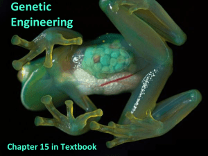 Genetic Engineering Chapter 15 in Textbook