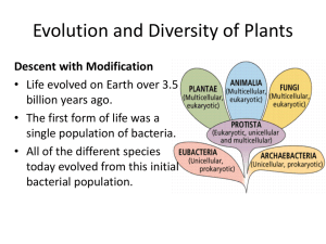 Evolution and Diversity of Plants