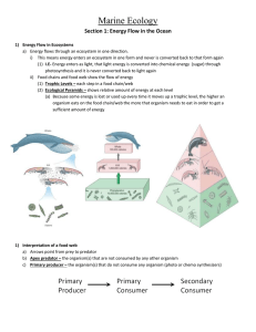 Marine Ecology Section 1: Energy Flow in the Ocean