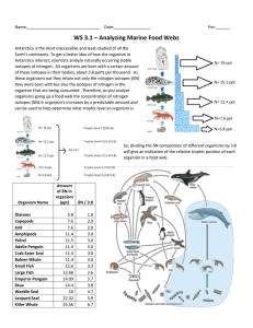 WS 3.1 – Analyzing Marine Food Webs