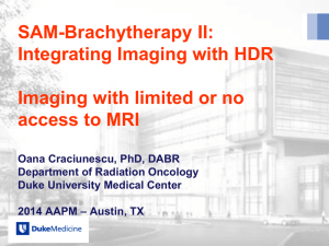 SAM-Brachytherapy II: Integrating Imaging with HDR  Imaging with limited or no