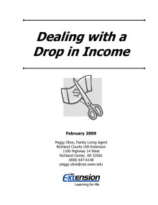 Dealing with a Drop in Income February 2009