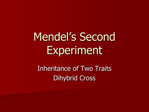 Mendel’s Second Experiment Inheritance of Two Traits Dihybrid Cross