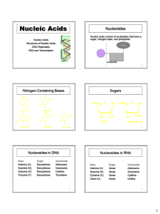 Nucleic Acids Nucleotides