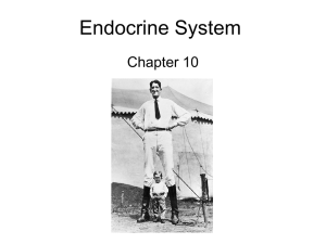 Endocrine System Chapter 10